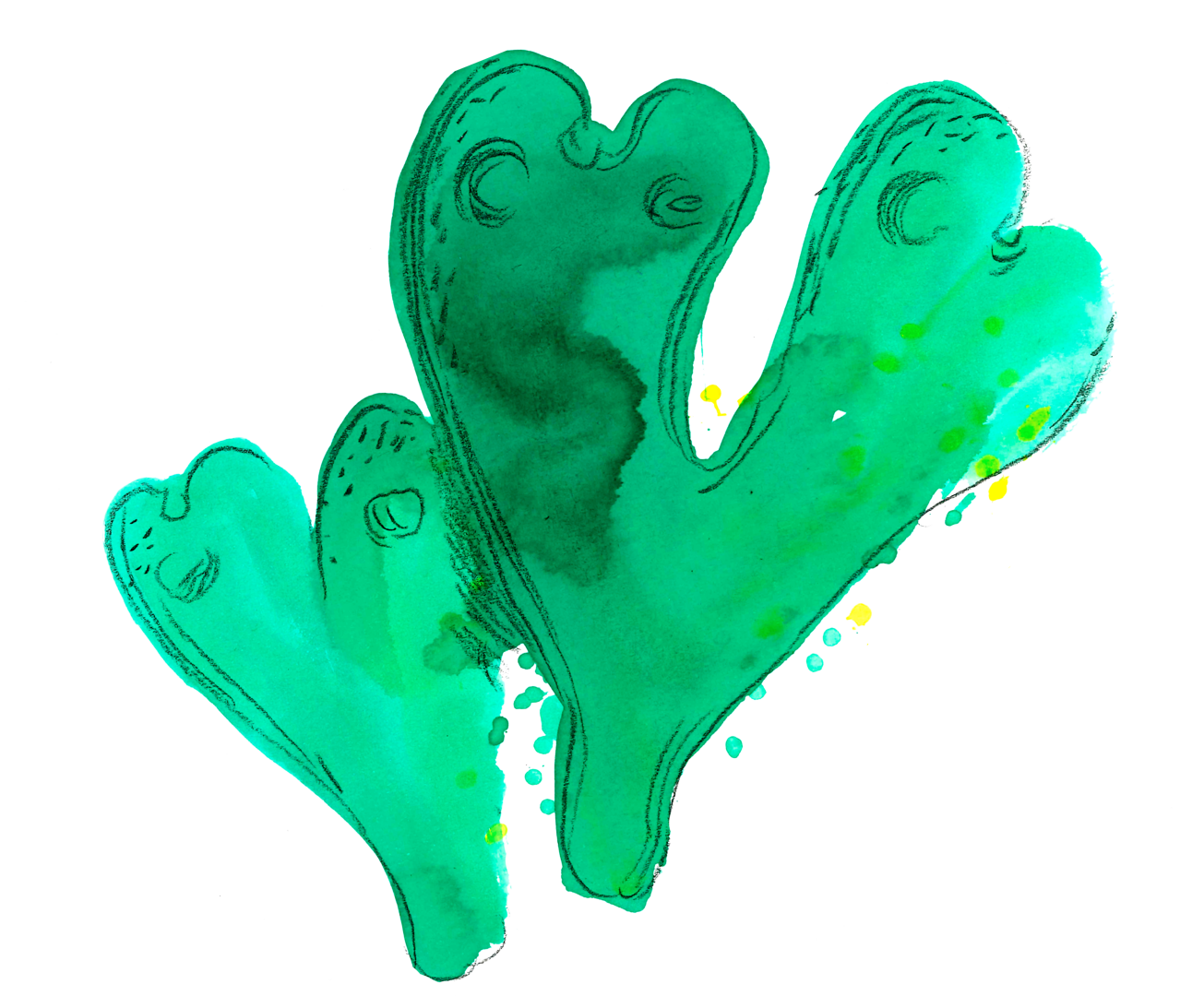 Illustration colorés d'une plante