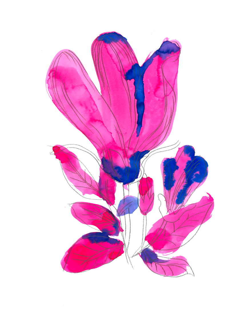 Illustration colorés d'une plante